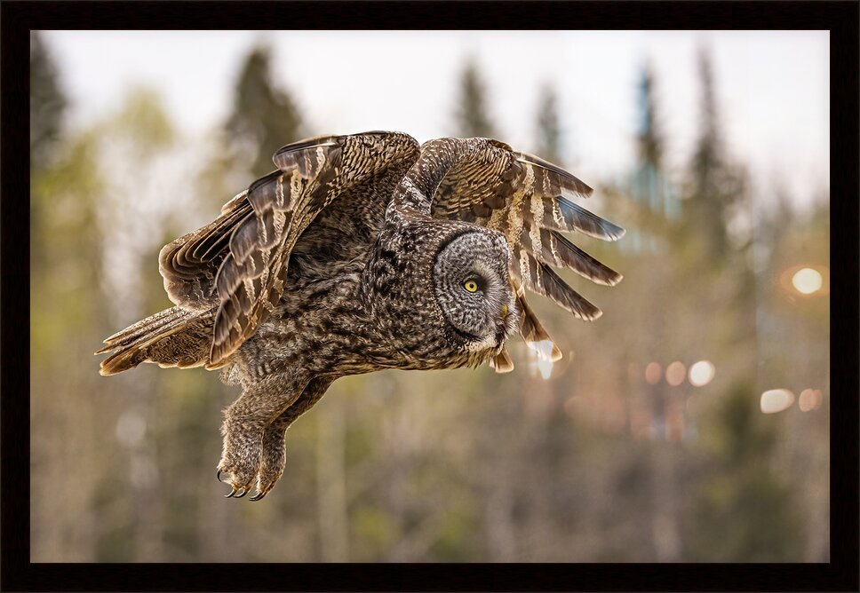 Impression de cadre personnalisé