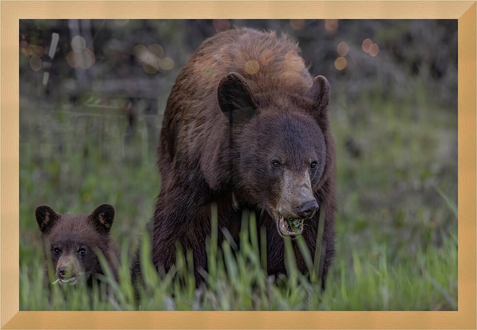 Impression de cadre personnalisé