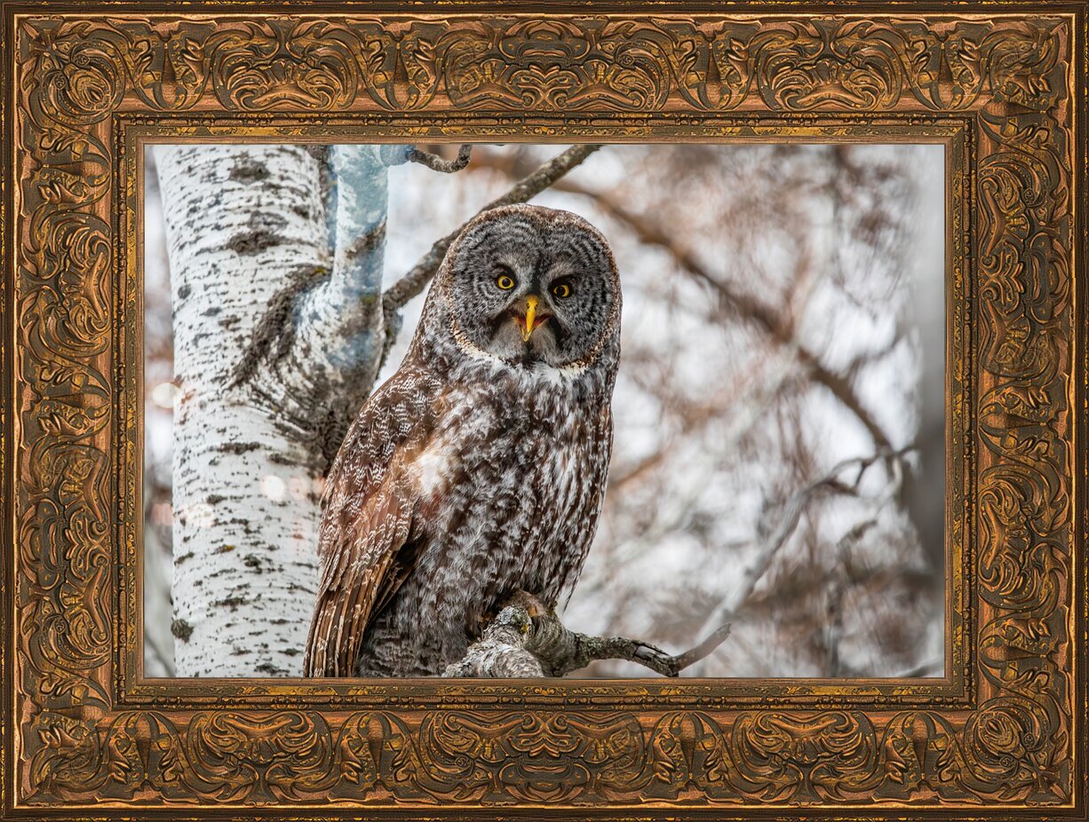 Impression de cadre personnalisé