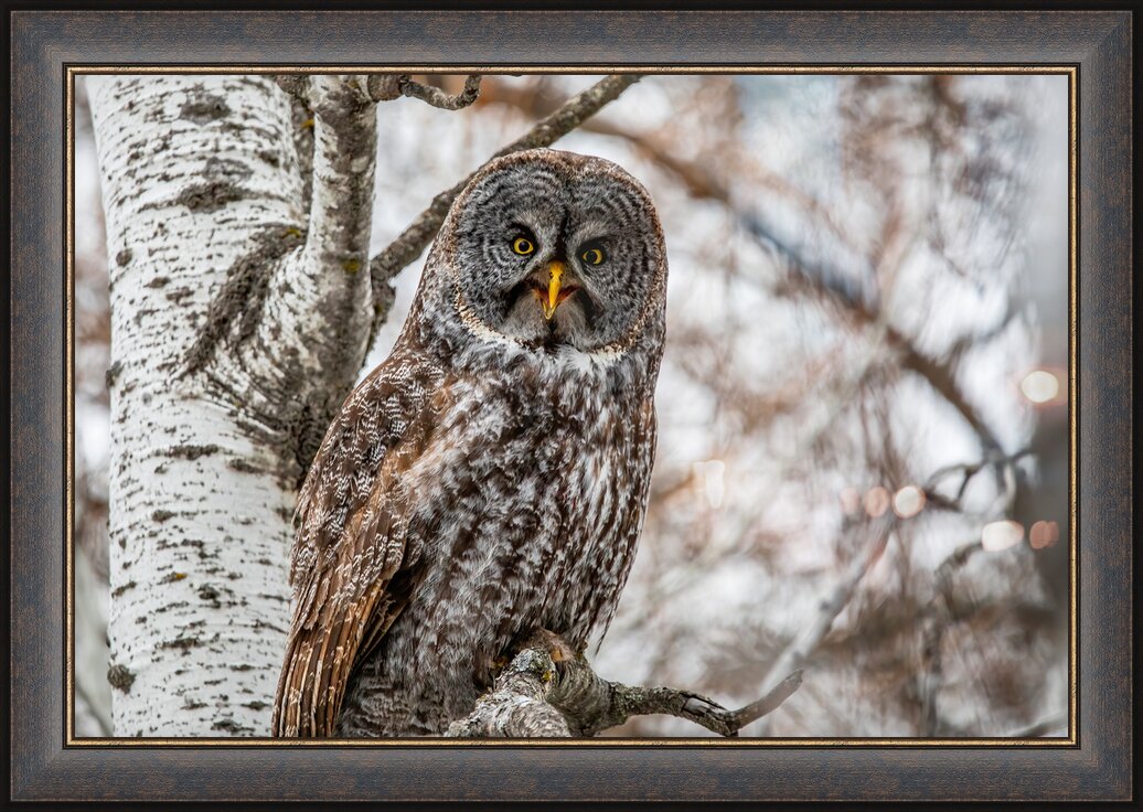 Impression de cadre personnalisé
