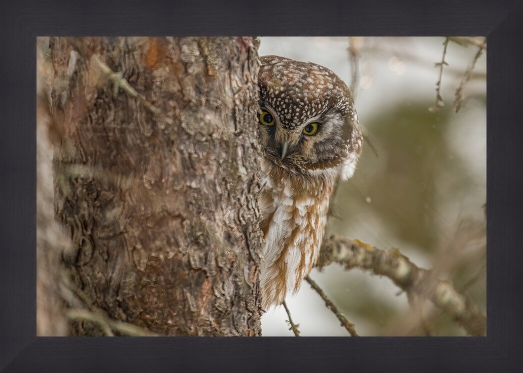 Impression de cadre personnalisé