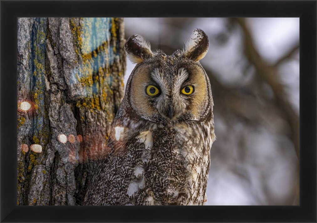 Impression de cadre personnalisé