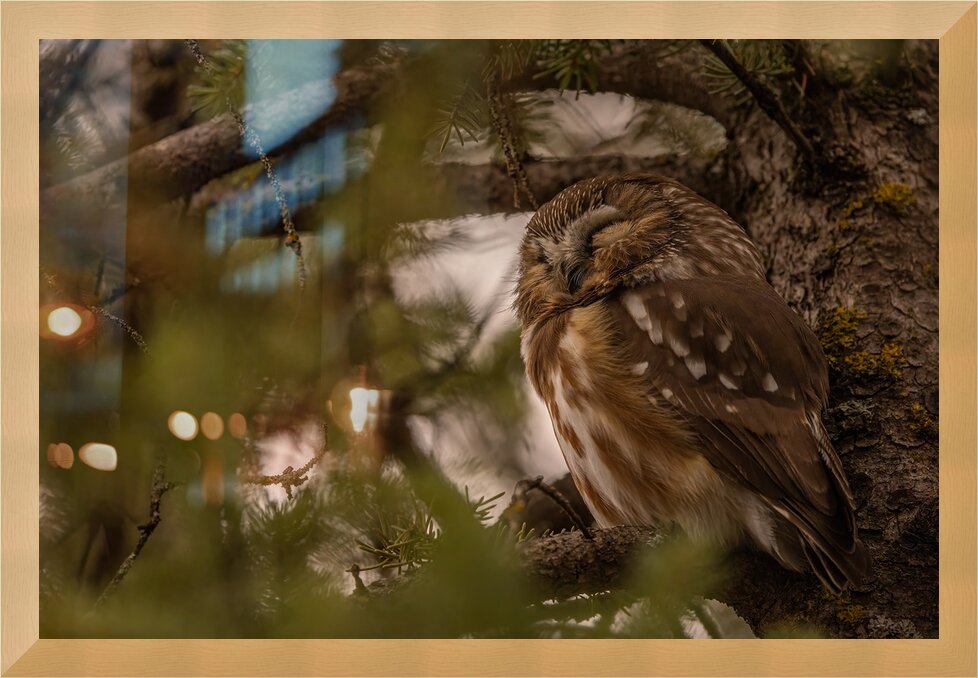 Impression de cadre personnalisé