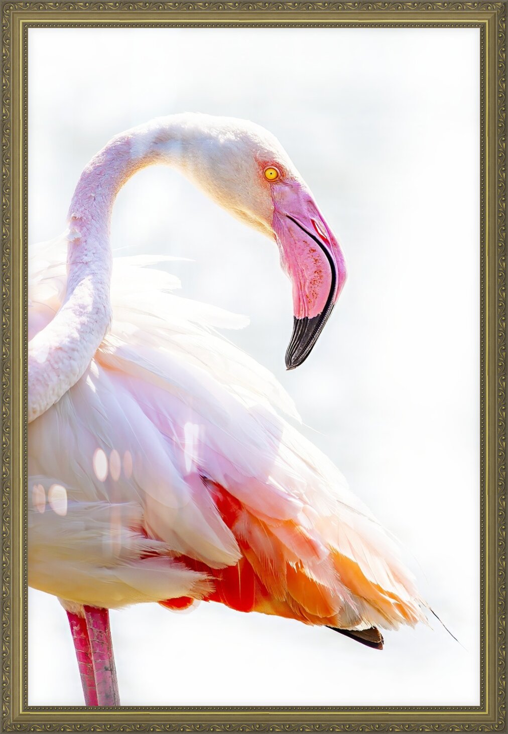 Impression de cadre personnalisé