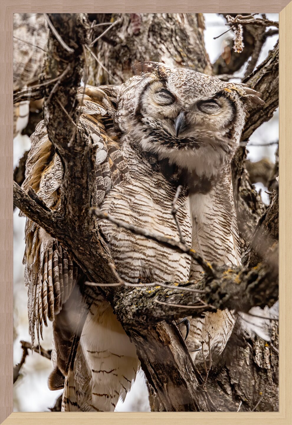 Impression de cadre personnalisé