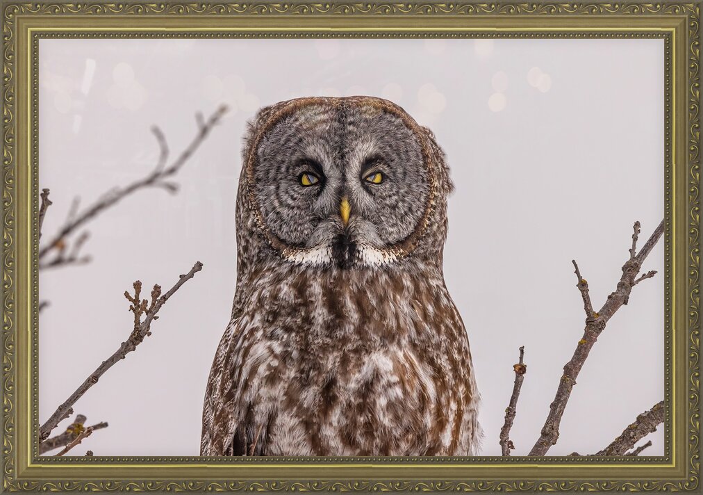 Impression de cadre personnalisé