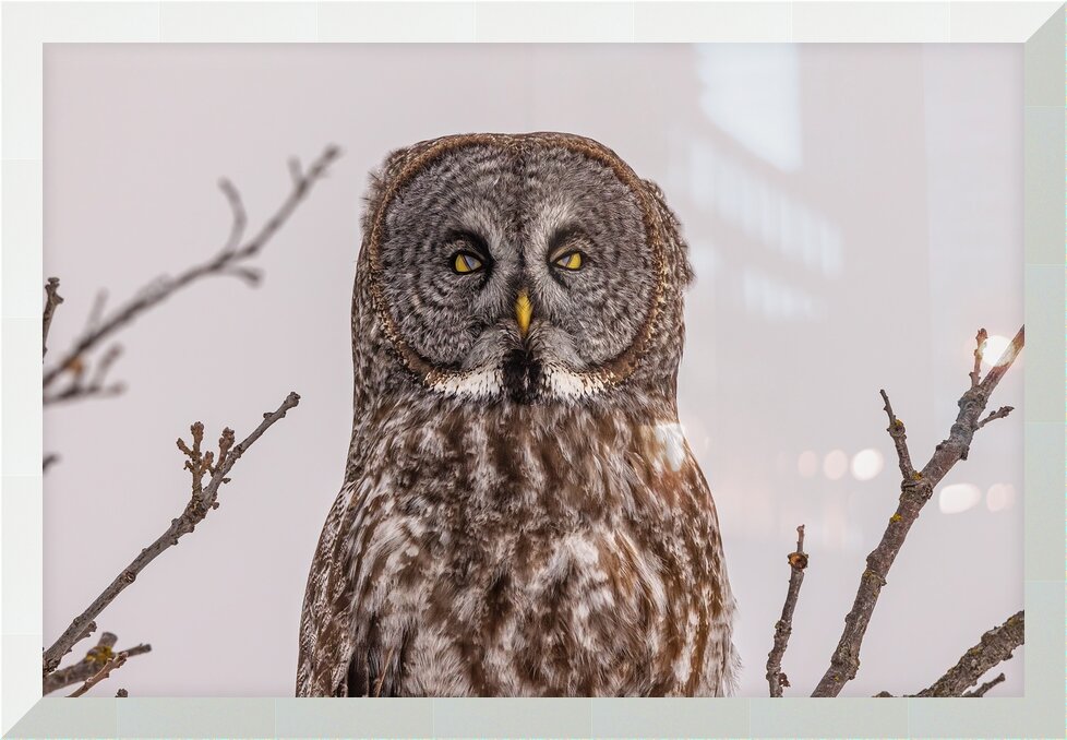 Impression de cadre personnalisé