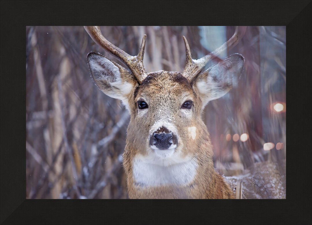 Impression de cadre personnalisé