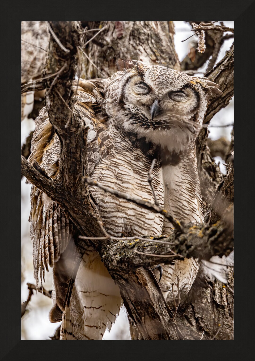 Impression de cadre personnalisé