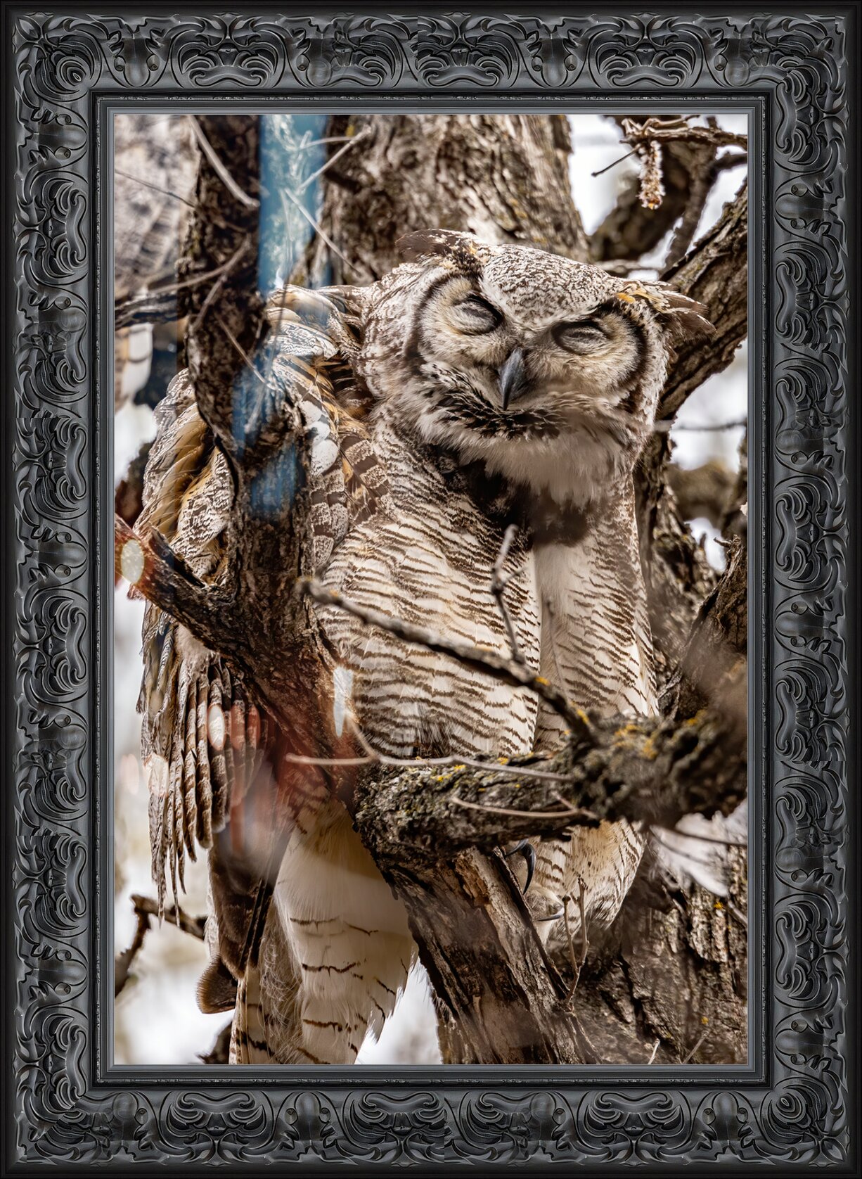 Impression de cadre personnalisé