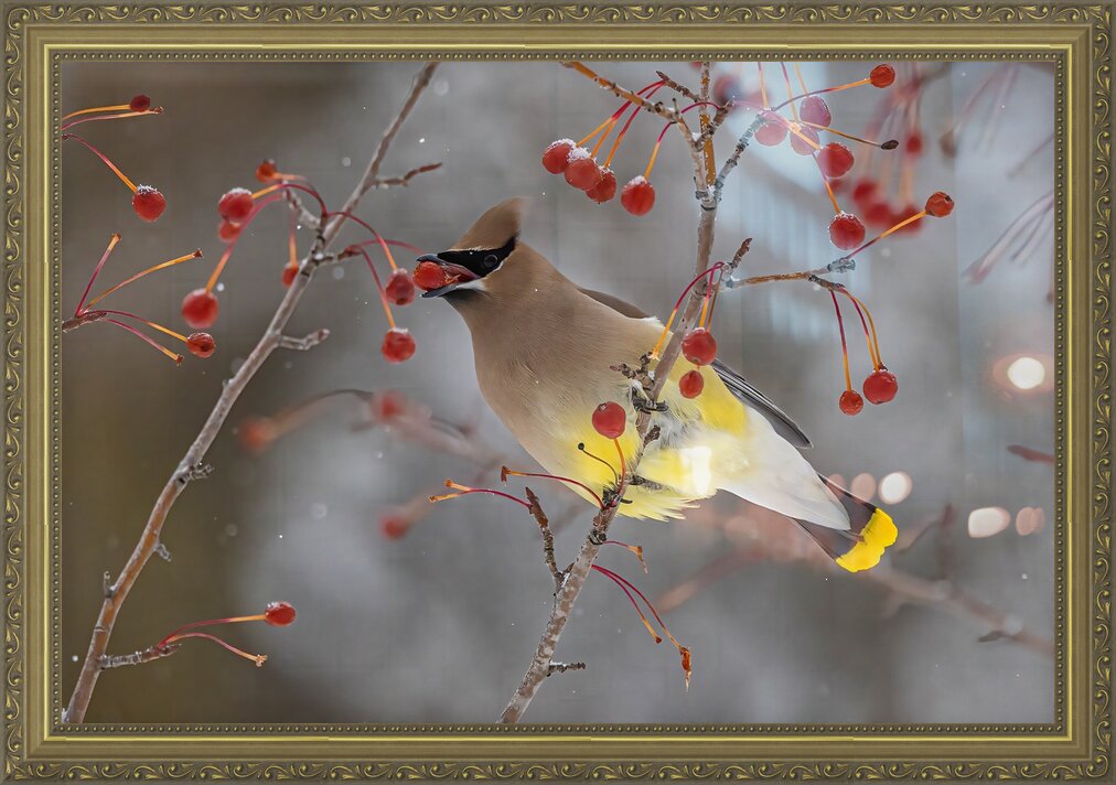 Impression de cadre personnalisé