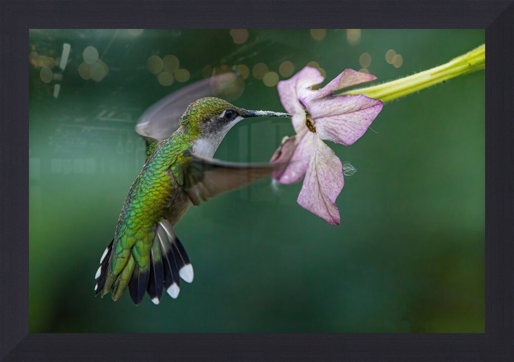 Impression de cadre personnalisé