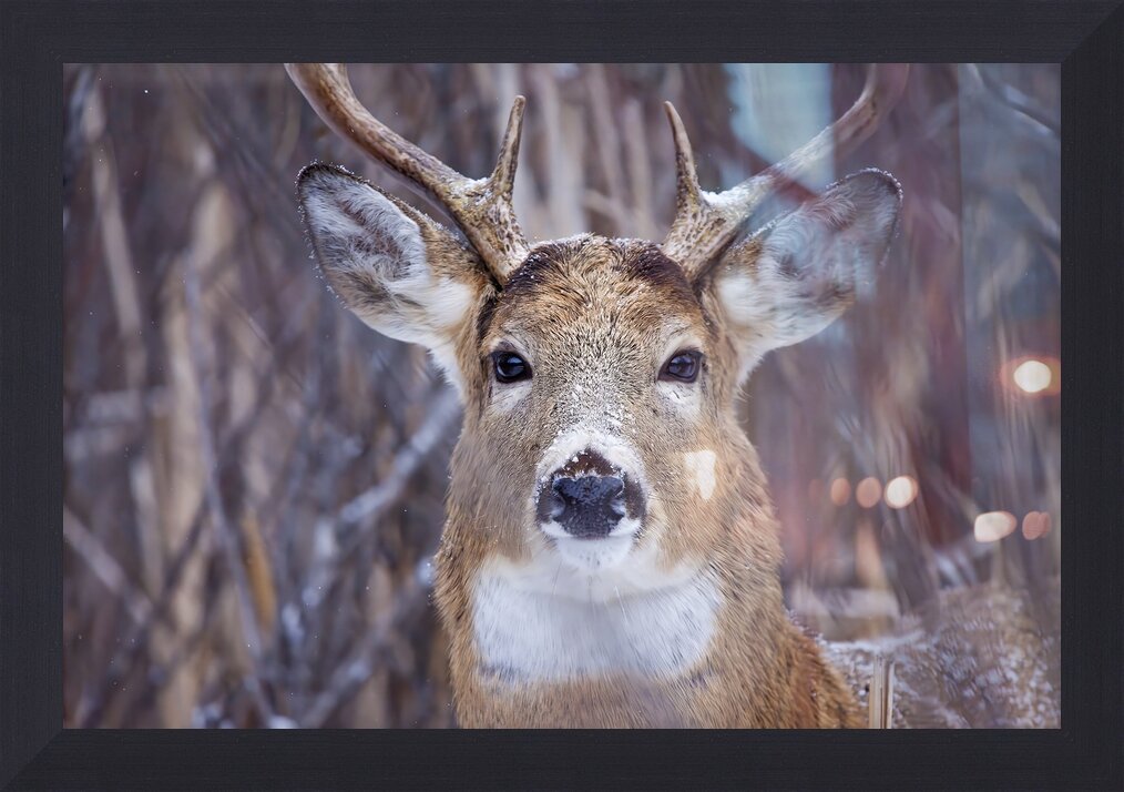 Impression de cadre personnalisé