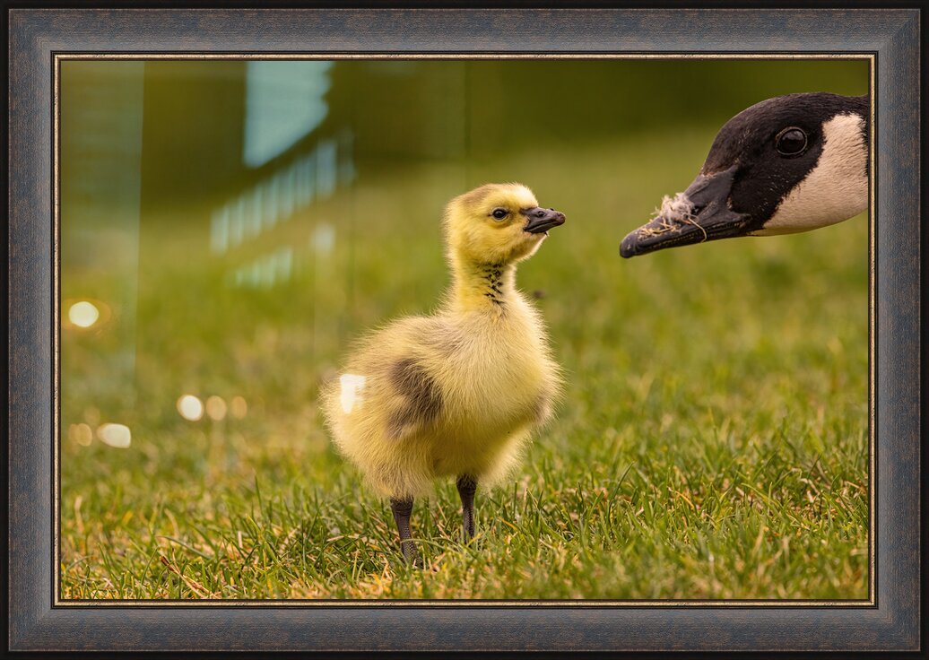 Impression de cadre personnalisé