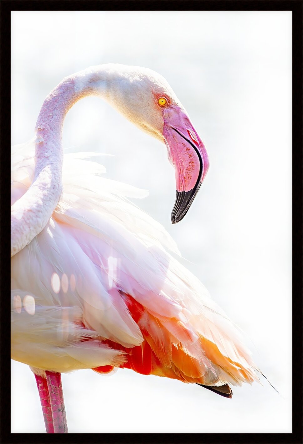 Impression de cadre personnalisé