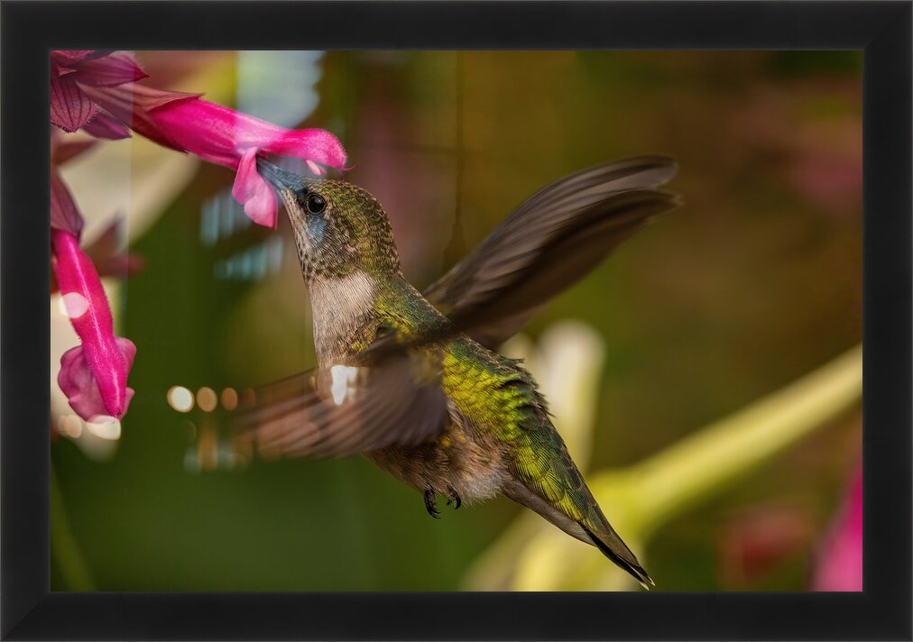 Impression de cadre personnalisé