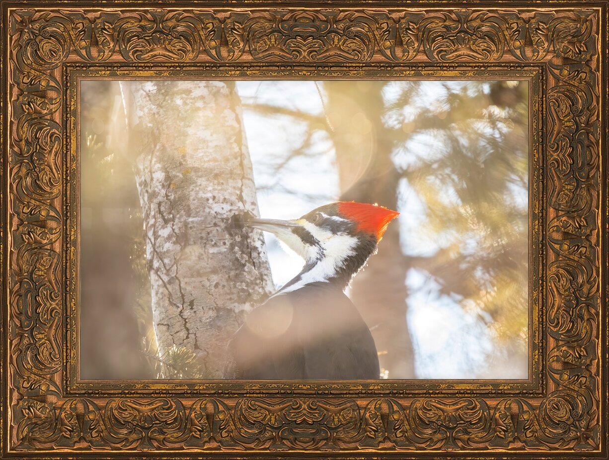 Impression de cadre personnalisé