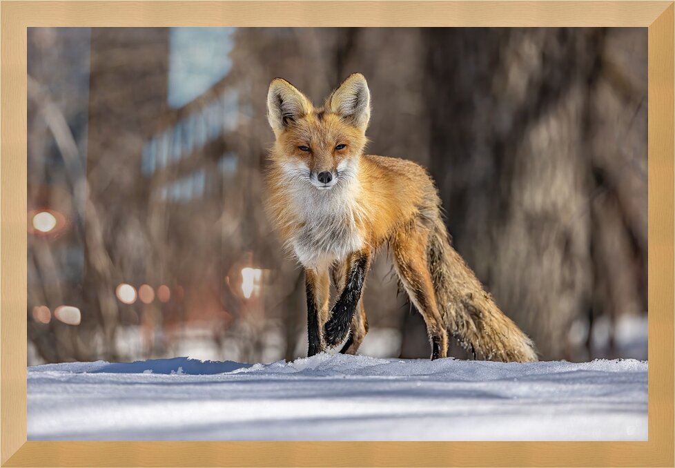 Impression de cadre personnalisé