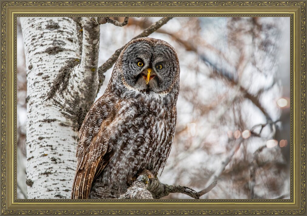 Impression de cadre personnalisé