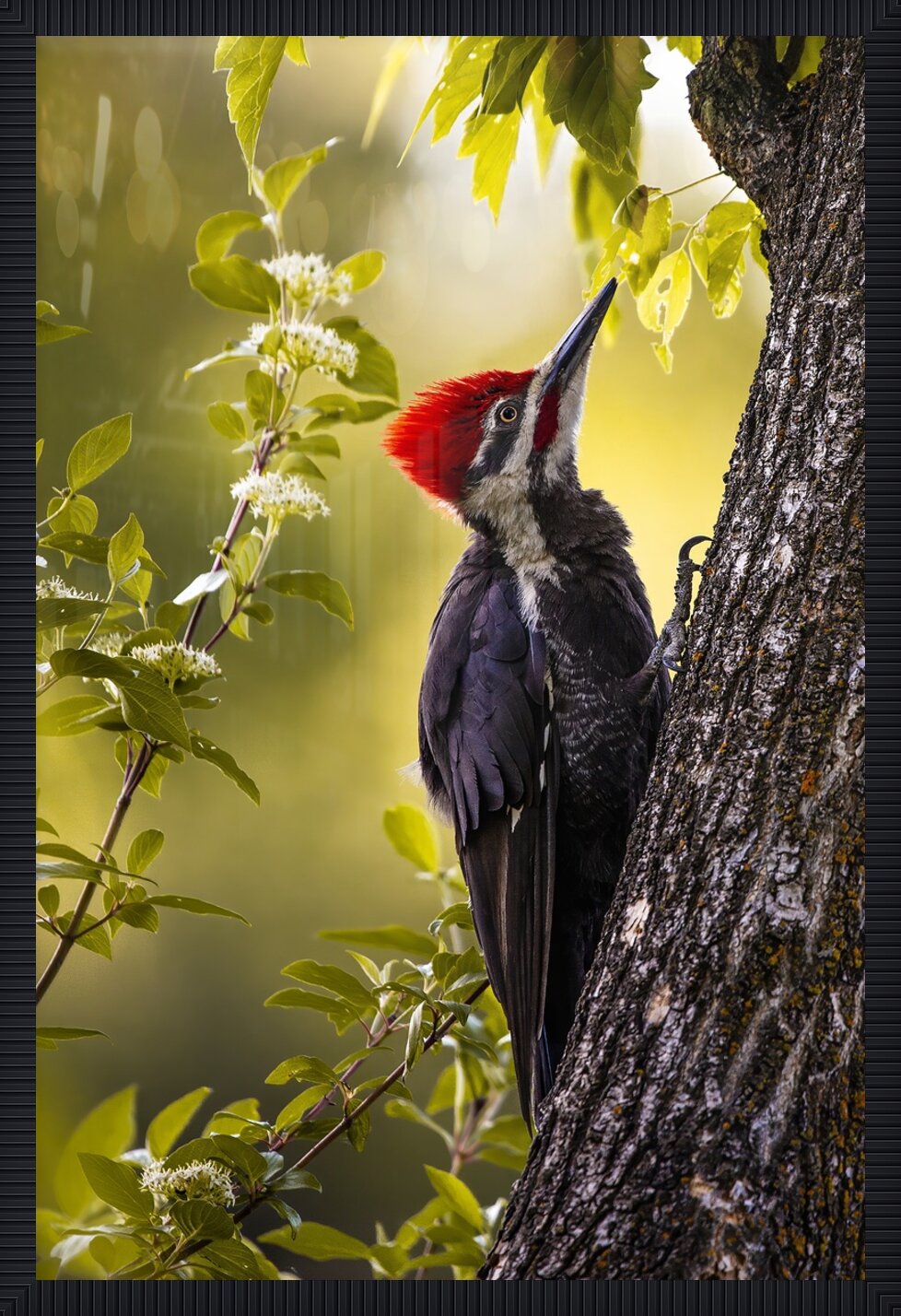 Impression de cadre personnalisé