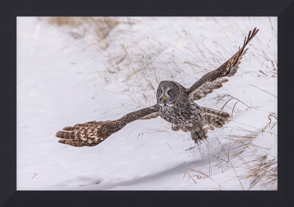 Impression de cadre personnalisé