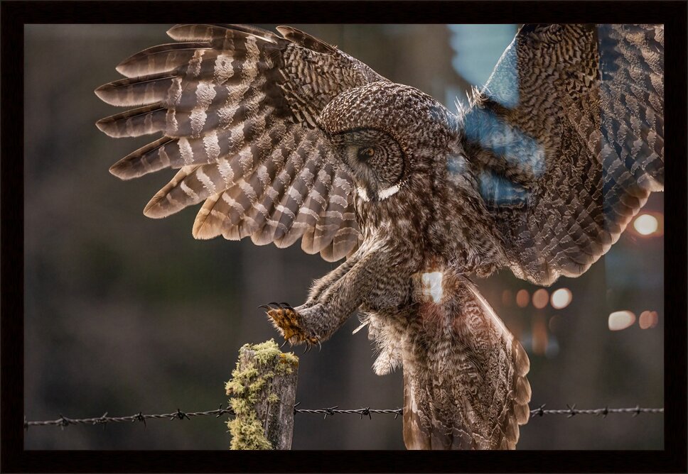 Impression de cadre personnalisé