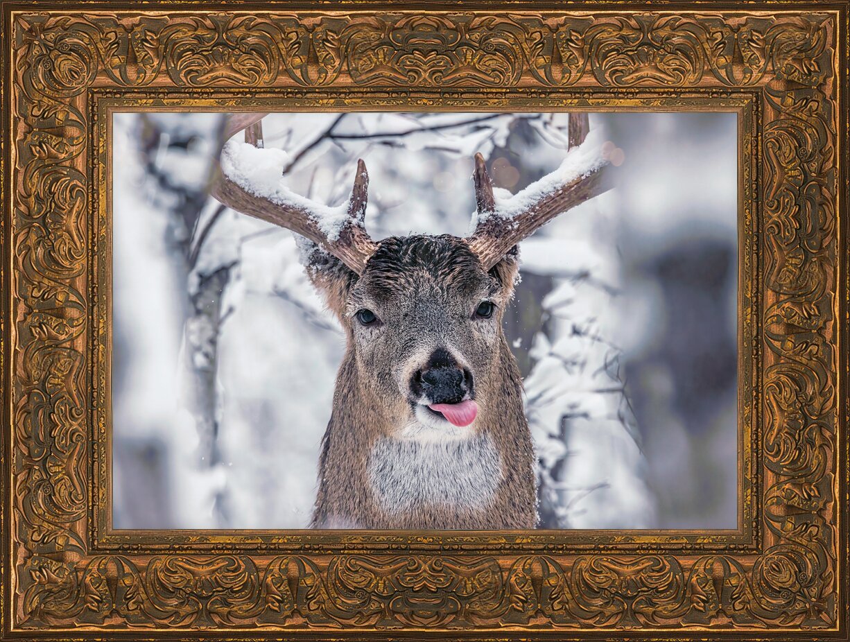 Impression de cadre personnalisé