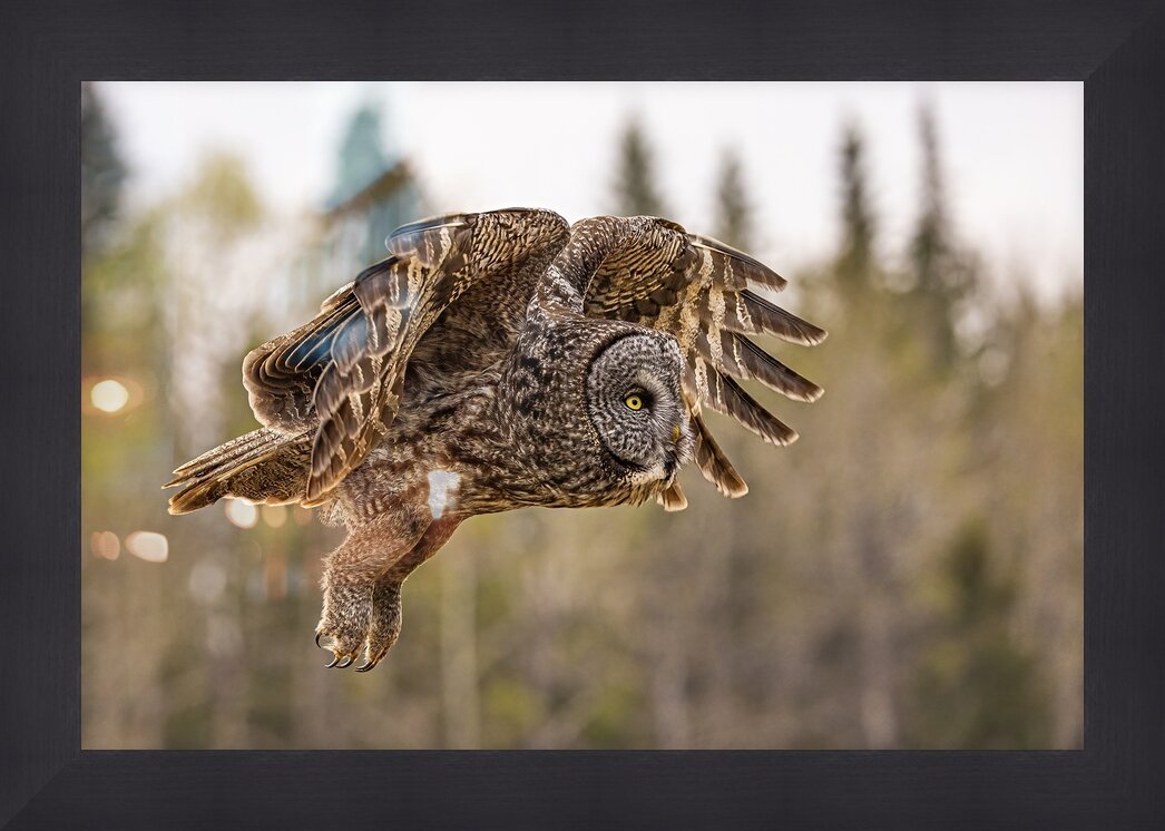 Impression de cadre personnalisé