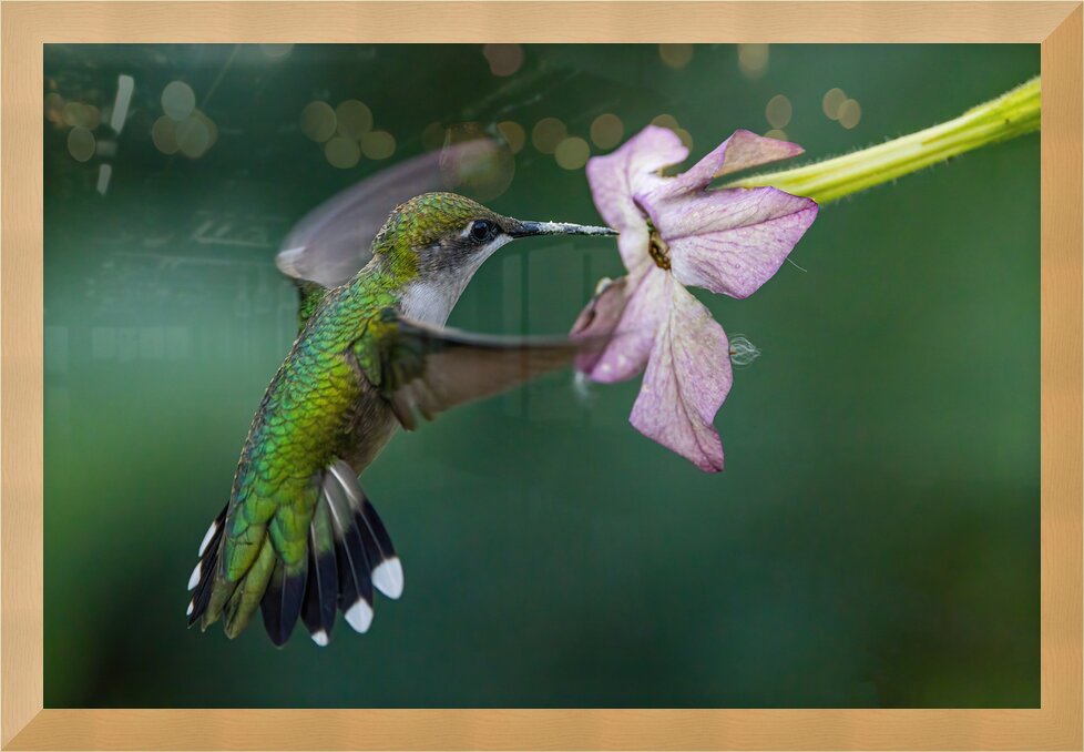 Impression de cadre personnalisé