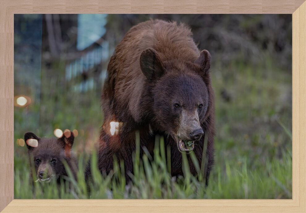 Impression de cadre personnalisé