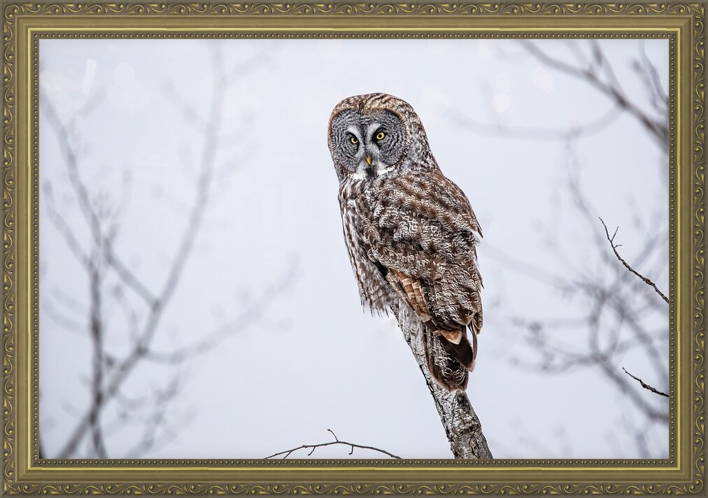 Impression de cadre personnalisé