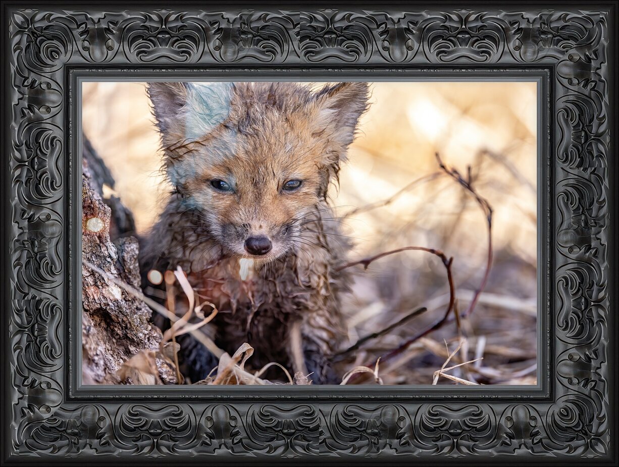 Impression de cadre personnalisé