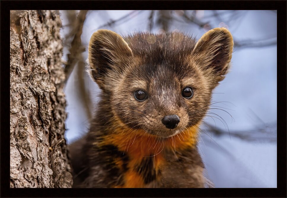 Impression de cadre personnalisé