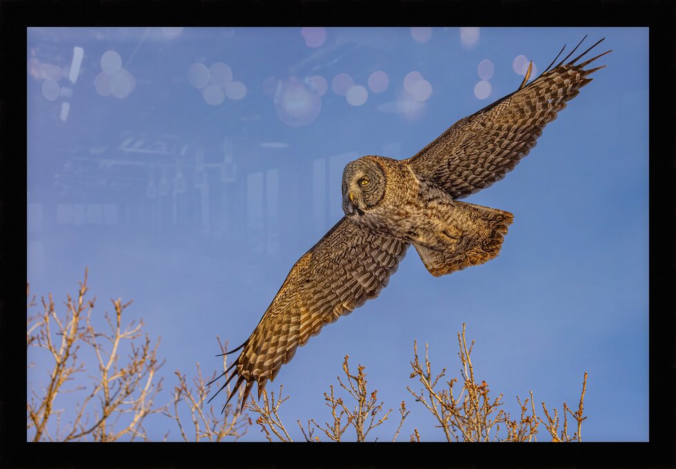 Impression de cadre personnalisé