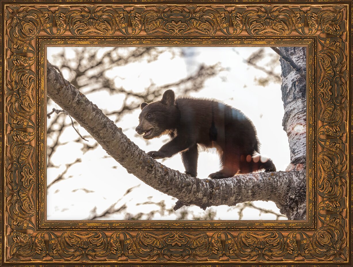 Impression de cadre personnalisé