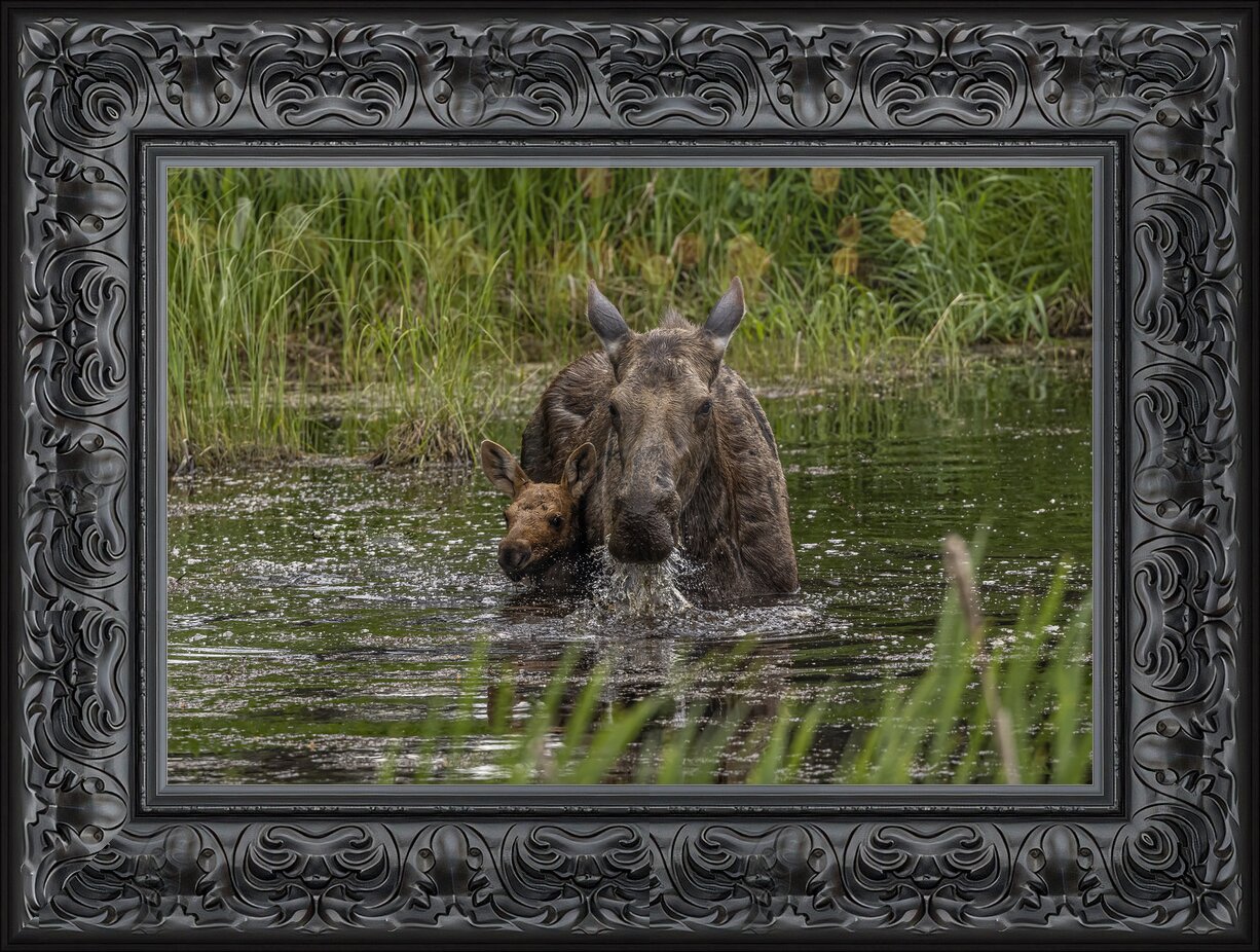 Impression de cadre personnalisé