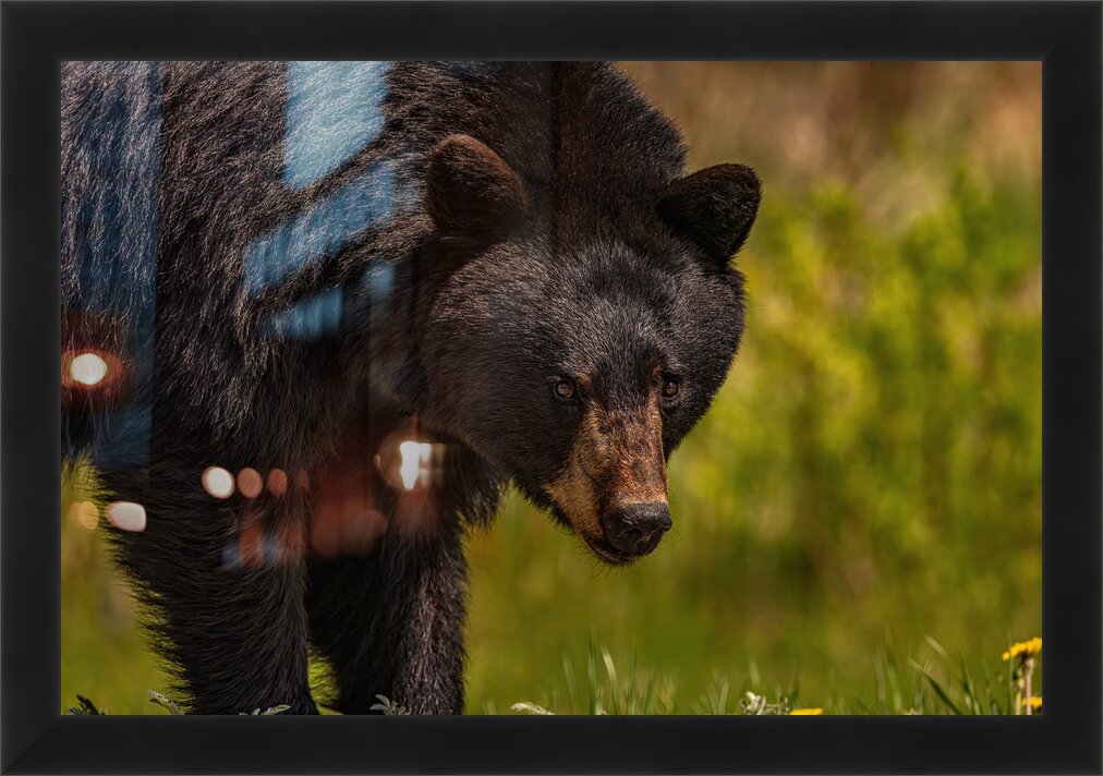 Impression de cadre personnalisé