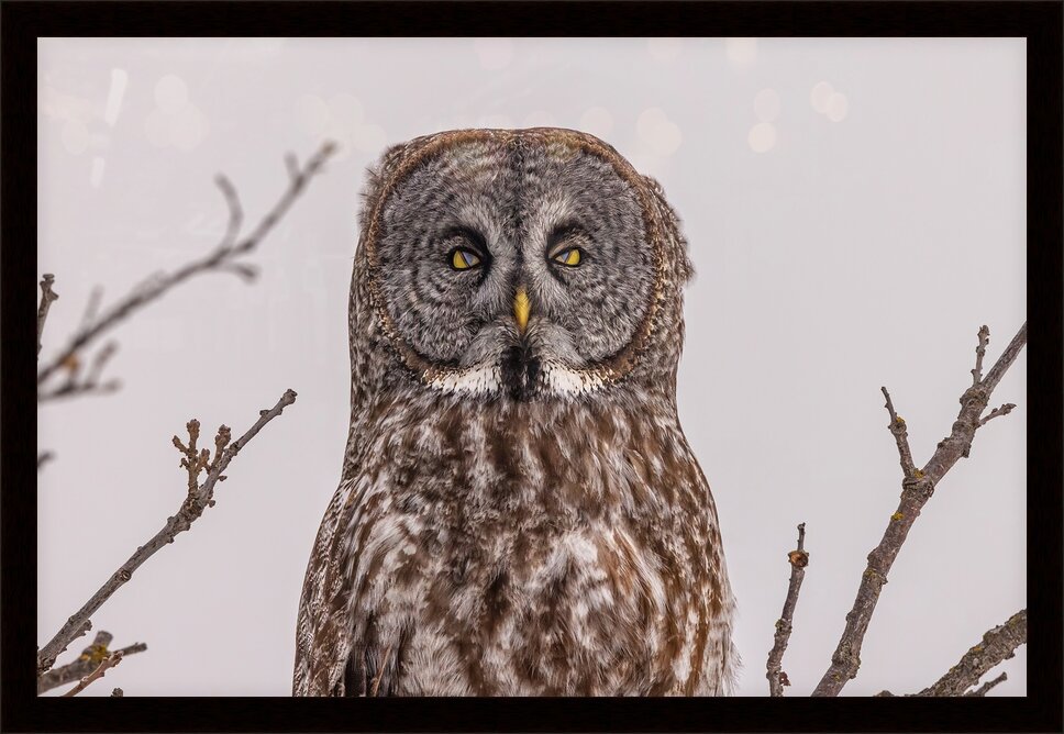 Impression de cadre personnalisé