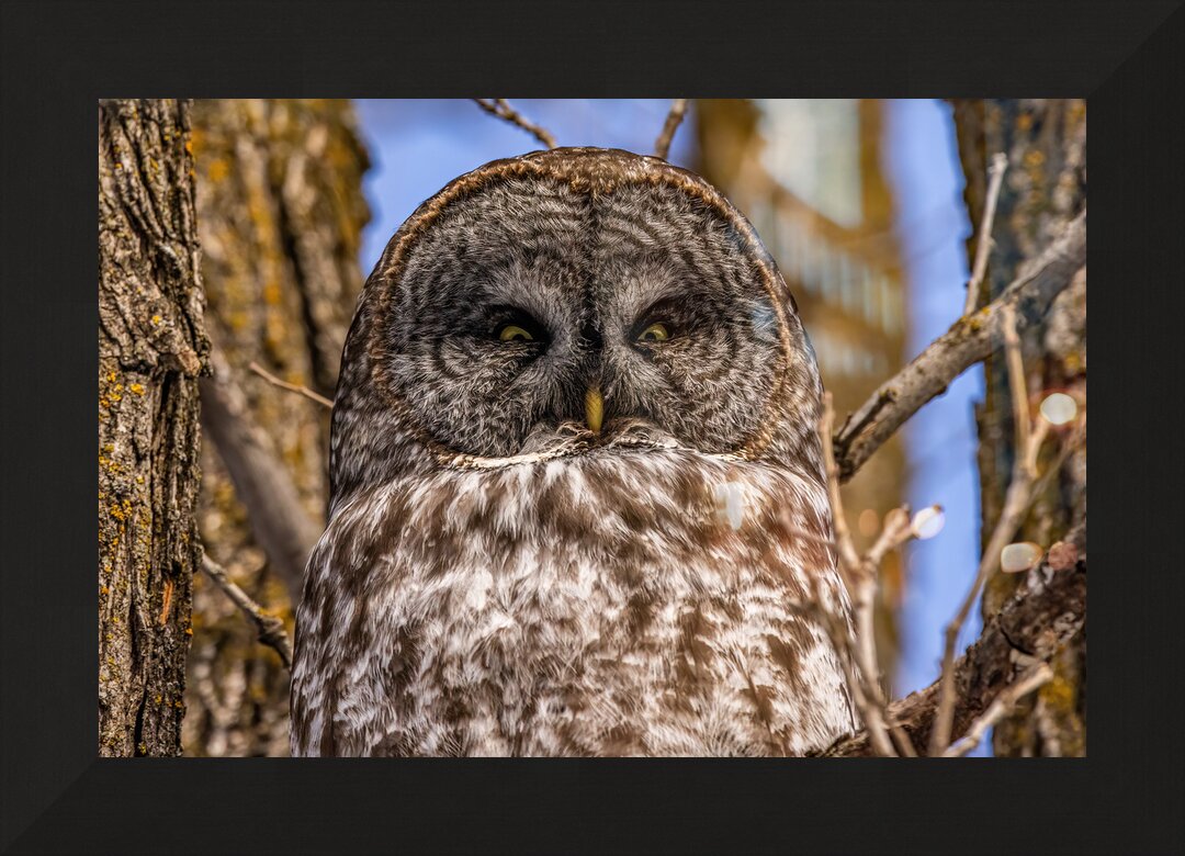 Impression de cadre personnalisé