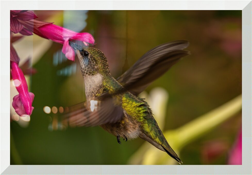 Impression de cadre personnalisé