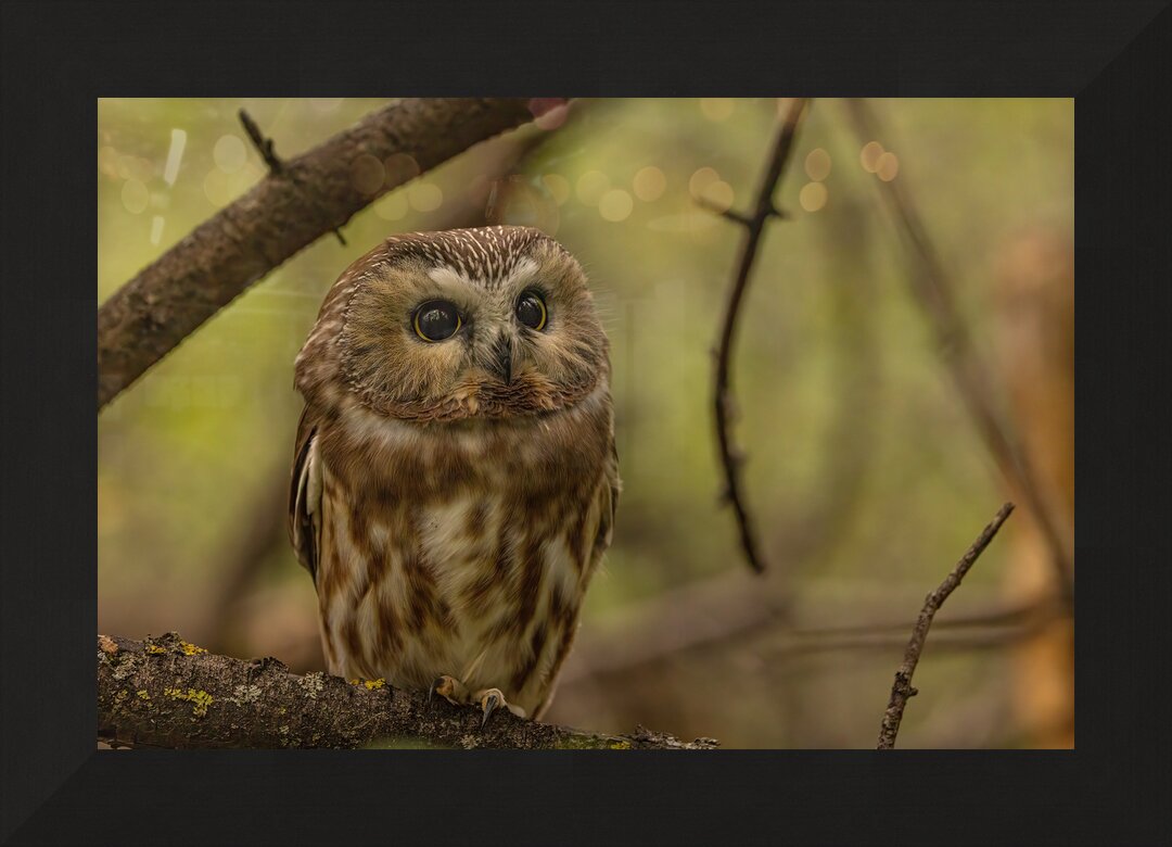 Impression de cadre personnalisé