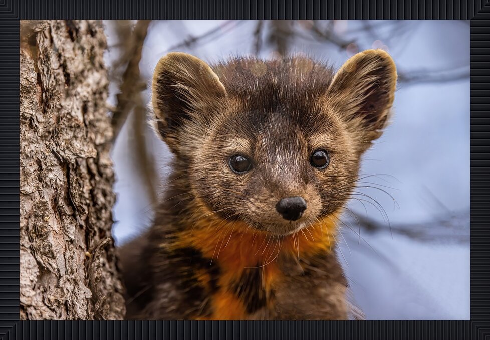 Impression de cadre personnalisé