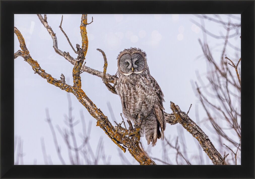 Impression de cadre personnalisé