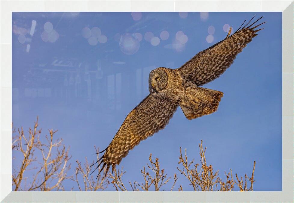 Impression de cadre personnalisé