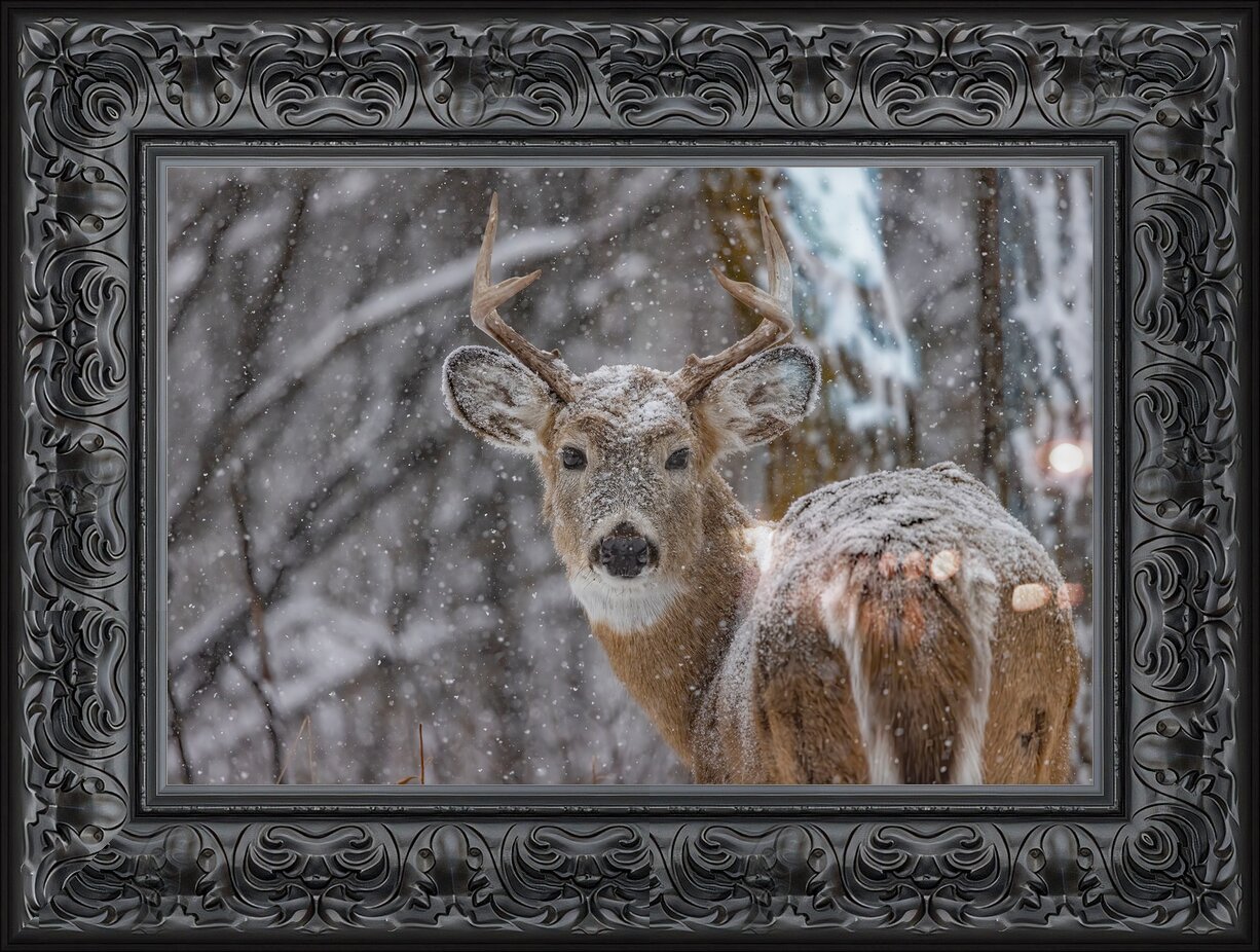Impression de cadre personnalisé