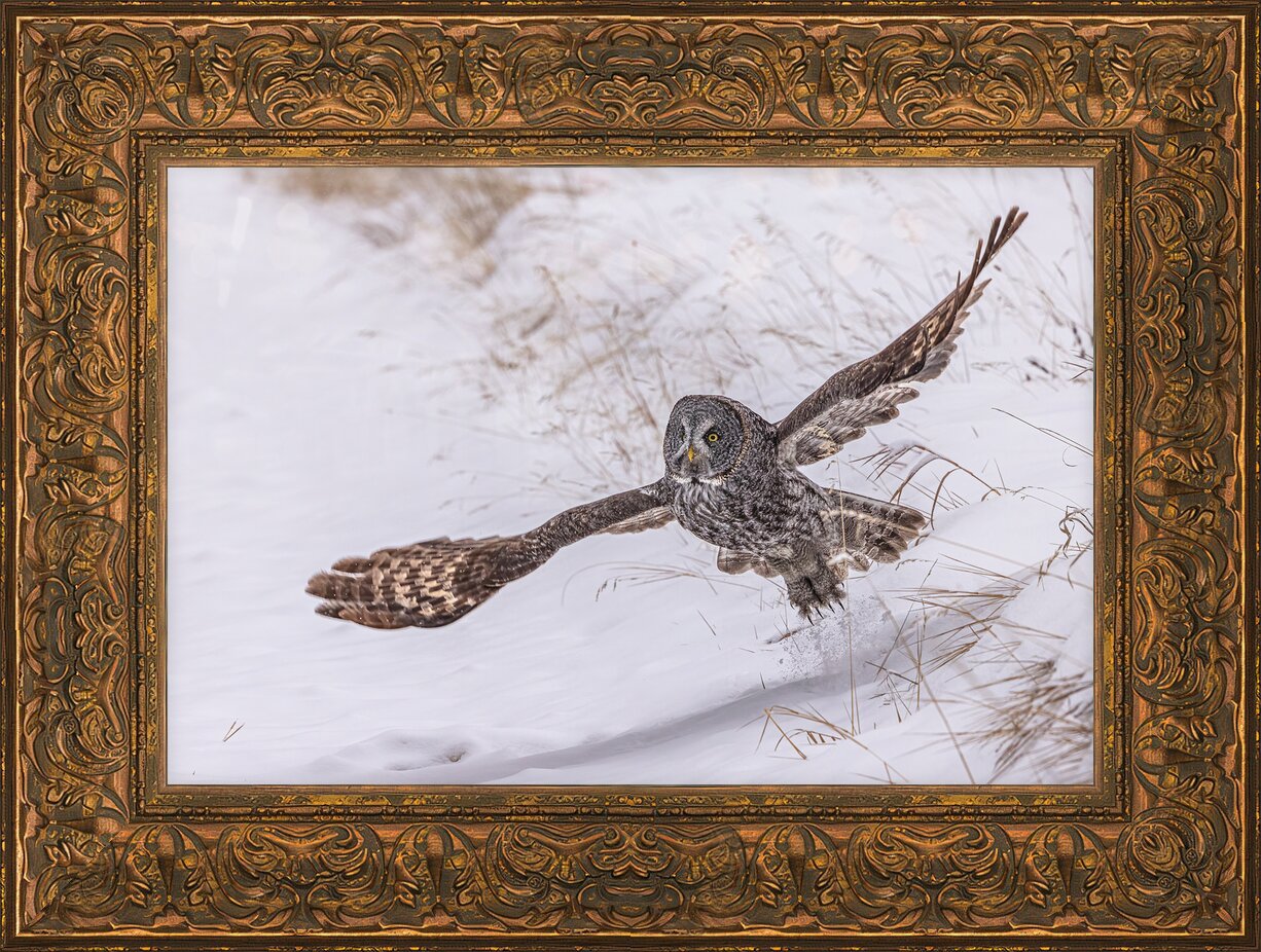 Impression de cadre personnalisé