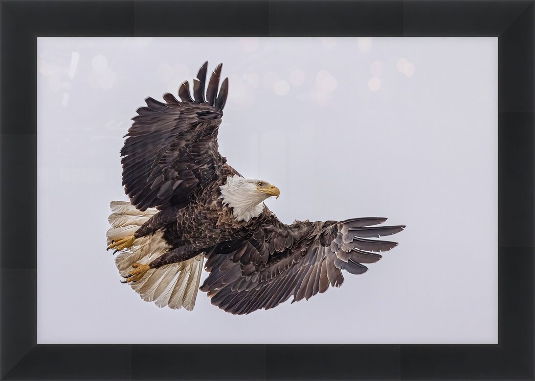 Impression de cadre personnalisé