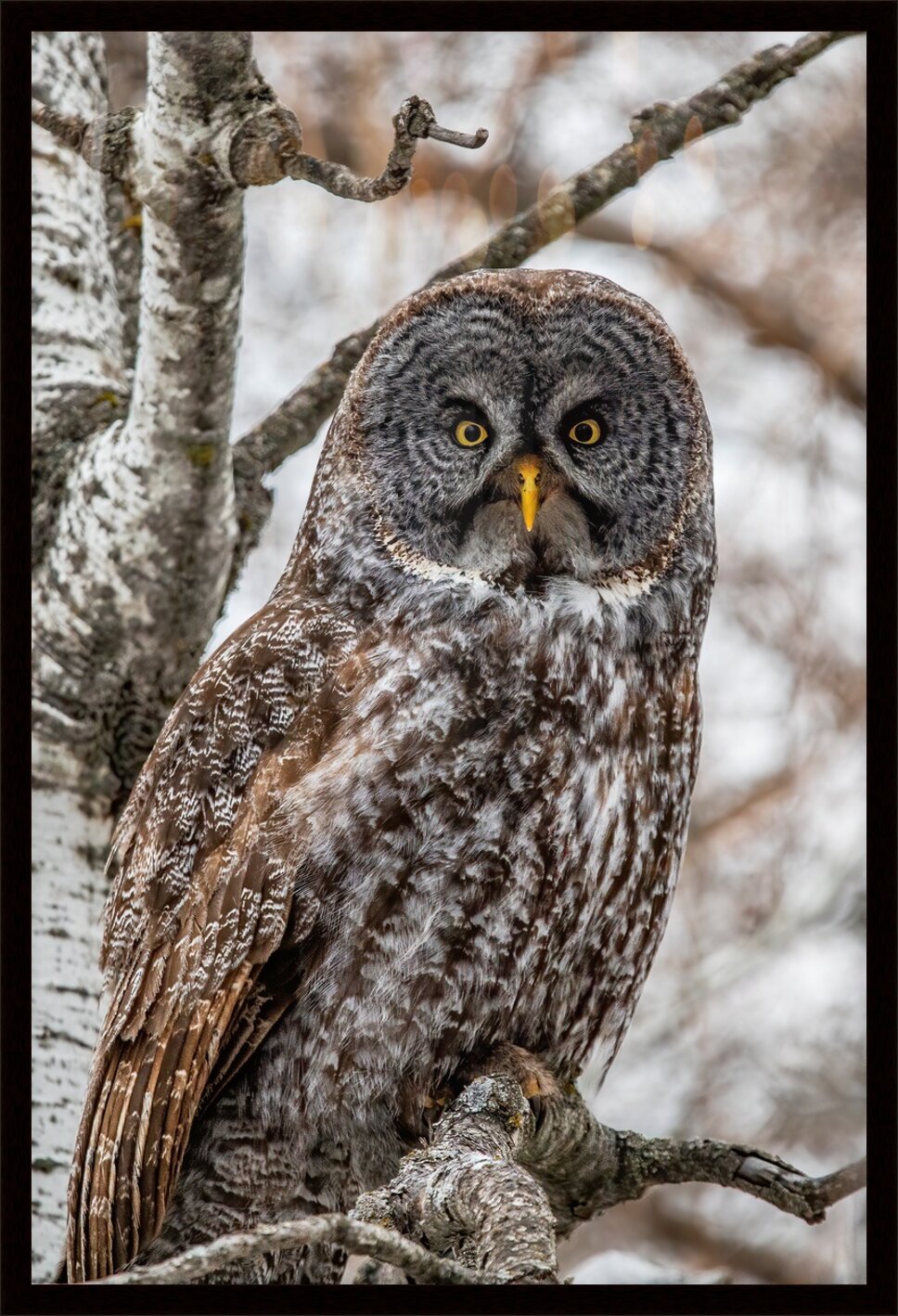 Impression de cadre personnalisé