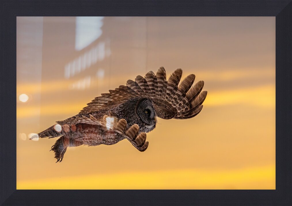 Impression de cadre personnalisé