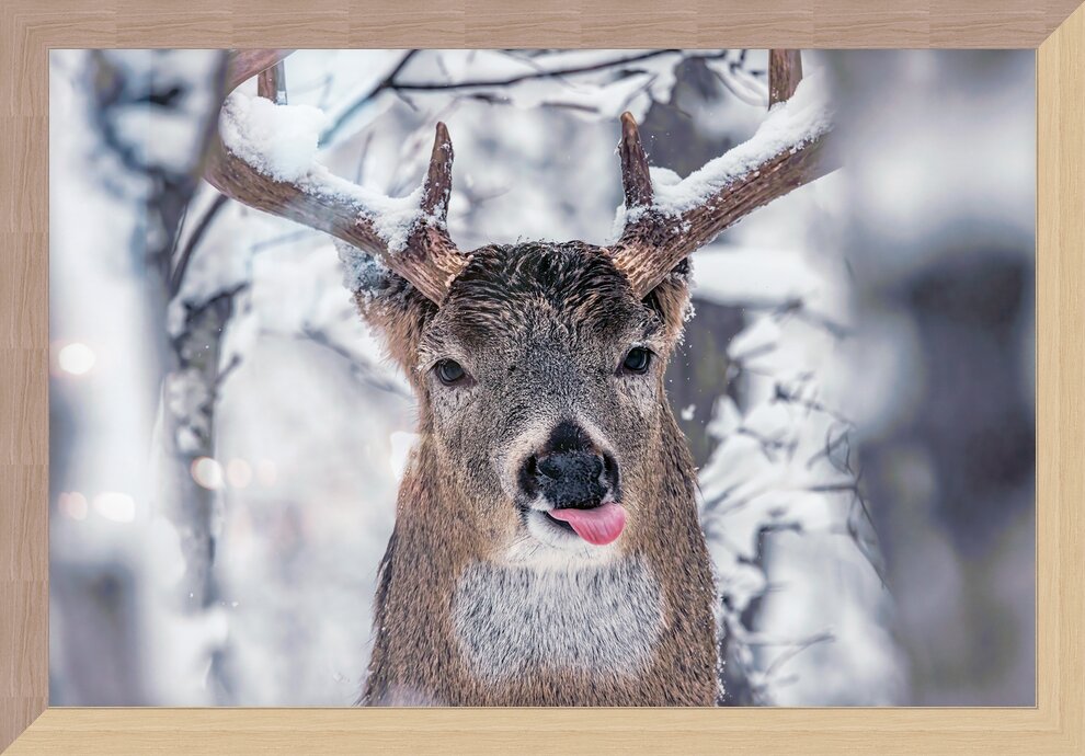 Impression de cadre personnalisé